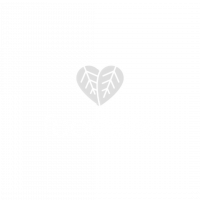 Logo en banner